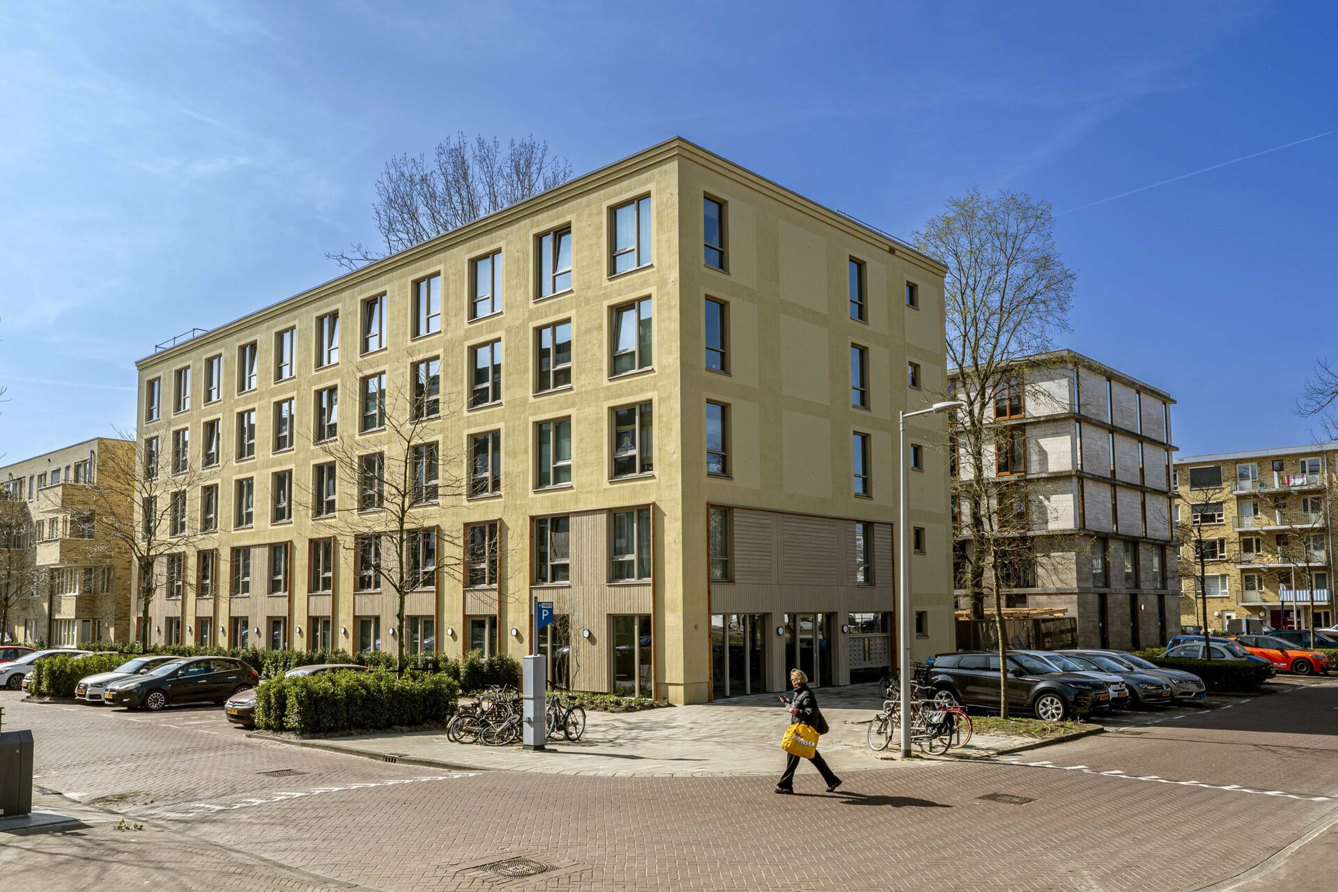 De Houten Leeuw